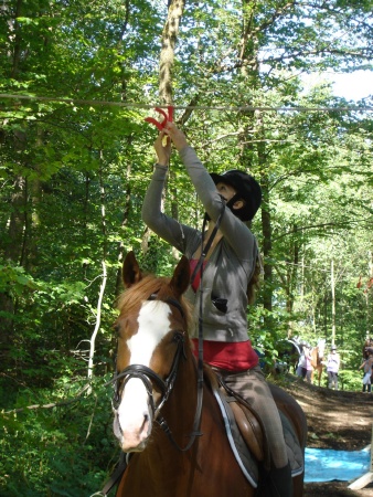 DSC06520 - HOMEPAGE.JPG